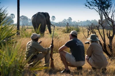 Expeditions_Okavango_091.jpg