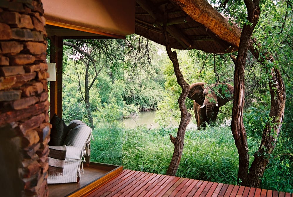 viaggio-sudafrica-destinazioneafrica-safari
