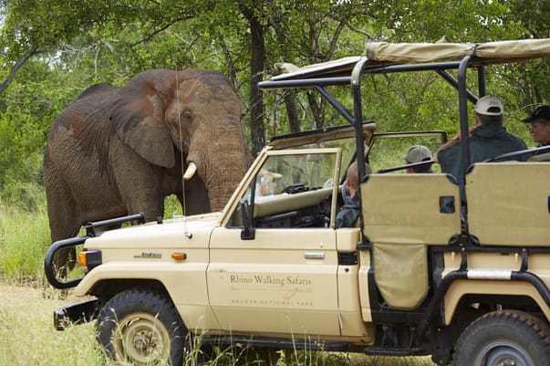 Safari-viaggio-sudafrica-destinazioneafrica-