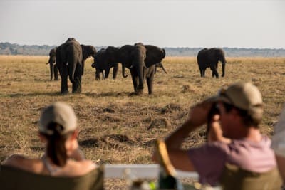 Expeditions_chobe_022.jpg